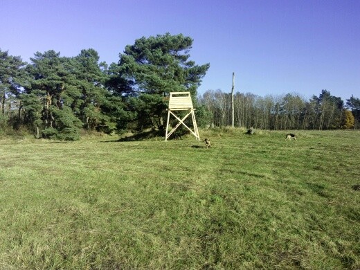 polubie obserwatorium